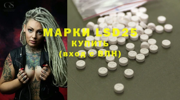 стафф Аркадак
